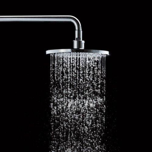 Bát sen lớn sen cây TOTO TMC95ECR