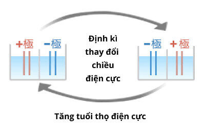 Công nghệ Double Auto Change Crossline