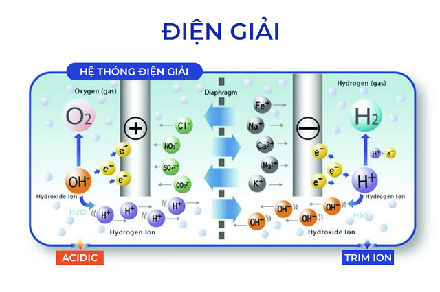 Hệ thống điện giải của máy lọc nươc Hydro Trim Ion Hyper