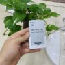 Điều khiển từ xa quạt điện Panasonic F-CU324
