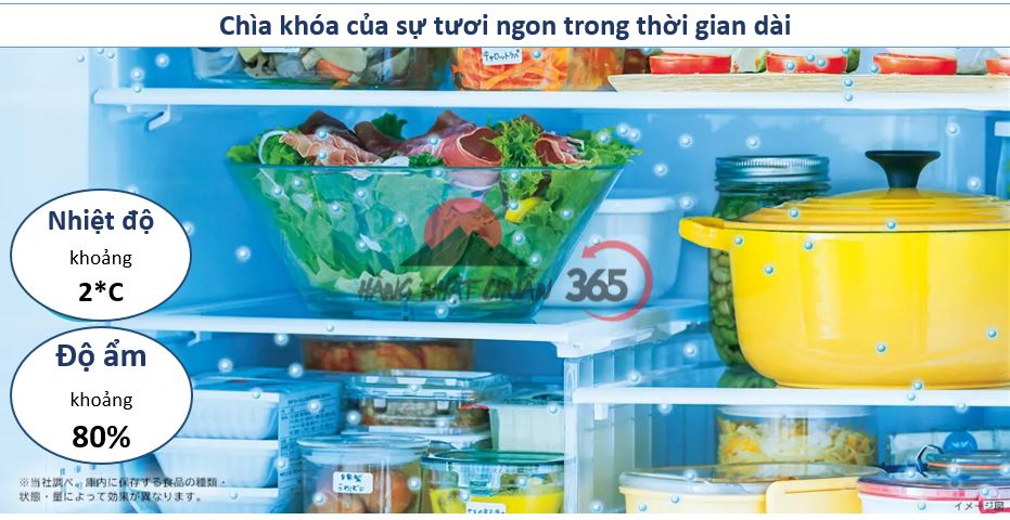 Chìa khóa của sự tươi ngon là nhiệt độ và độ ẩm trong ngăn mát tủ lạnh.