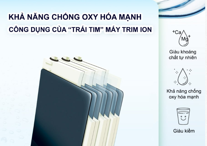 5 tấm điện cực Titan phủ bạch kim (Platina)