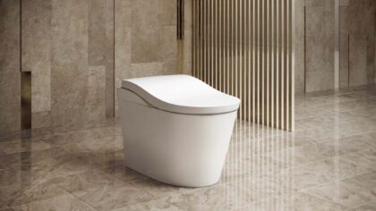 Tổng quan bồn cầu TOTO CES9820