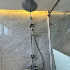 Sen cây Grohe bát trên to tròn